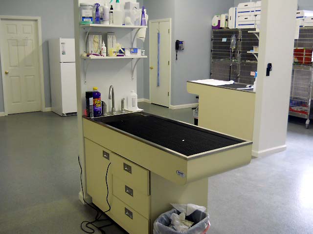 Our treatment area. Large enough
        for a hectic day, but small enough to give every patient the
        utmost care.